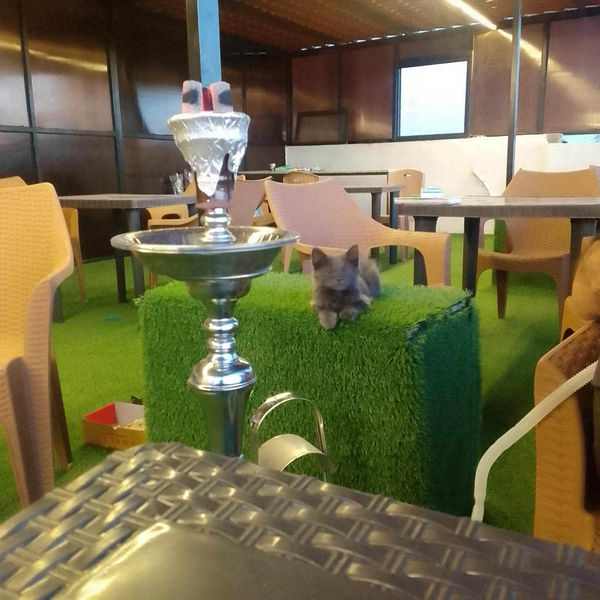 Dream House Hotel Jerash 제라시 외부 사진